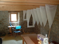 20050630_151454