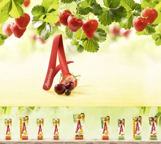 appelsientje_print