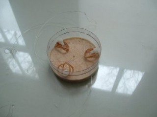 20050314_135241